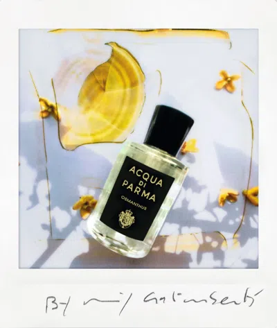 Acqua Di Parma Osmanthus Eau De Parfum In White