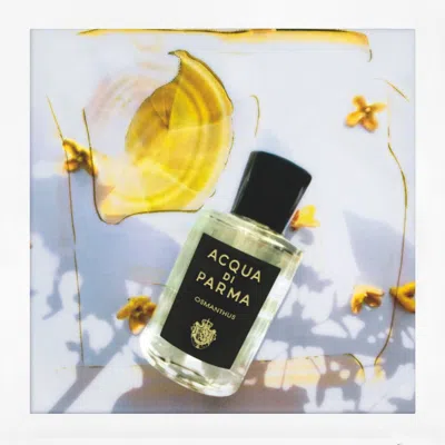 Acqua Di Parma Osmanthus Eau De Parfum In White