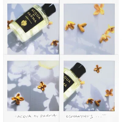 Acqua Di Parma Osmanthus Eau De Parfum In White