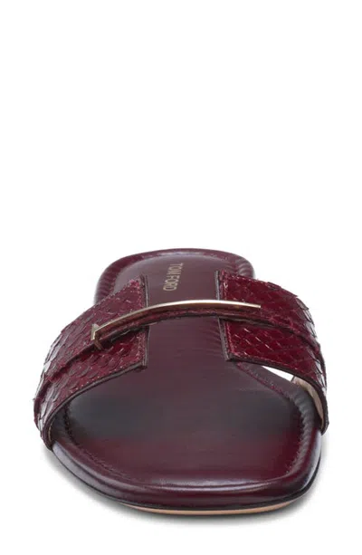 Tom Ford Python Embossed Slide Sandal In Red