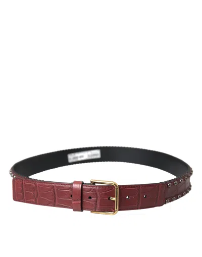 Dolce & Gabbana Brown Alligator Leather Studded Metal Buckle Women's Belt In Brown