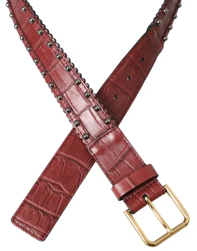 Dolce & Gabbana Brown Alligator Leather Studded Metal Buckle Women's Belt In Brown