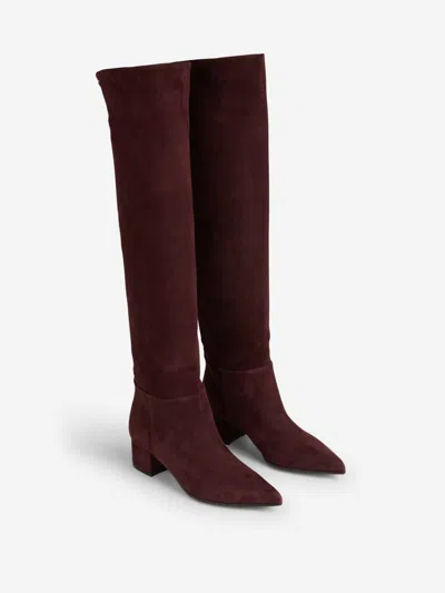 Gianvito Rossi Glen 45 Suede Knee-high Boots In Multi