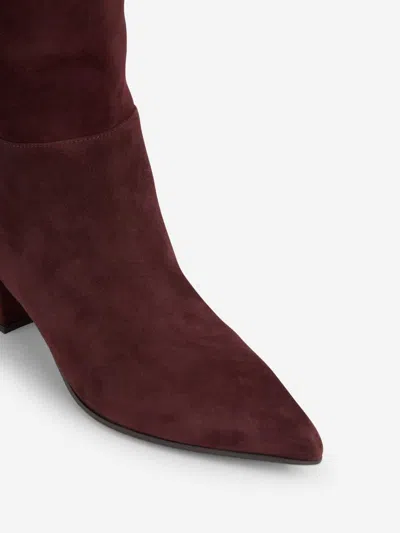 Gianvito Rossi Glen 45 Suede Knee-high Boots In Multi