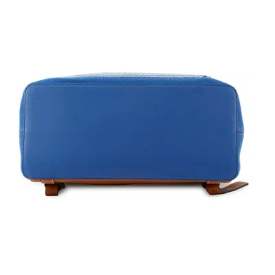 Pre-owned Loewe Blue Brown White Canvas Leather Backpack ()