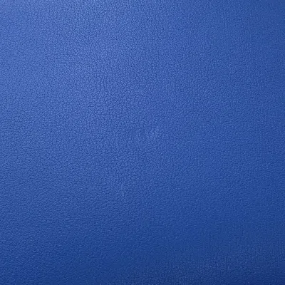 Pre-owned Loewe Blue Brown White Canvas Leather Backpack ()