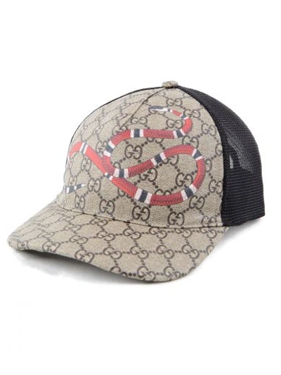 Shop Gucci Snake Baseball Hat In D.brown/black