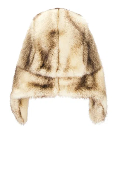 Clyde Ice Hat In Multi