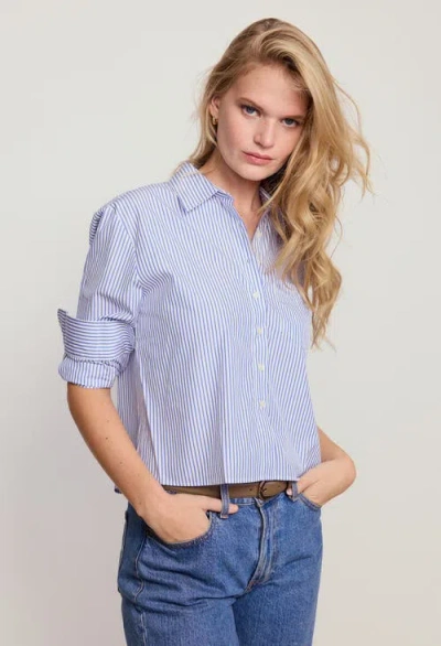 The Shirt By Rochelle Behrens The Long Sleeve Boxy Crop Shirt In Animal Print