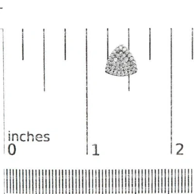 Haus Of Brilliance 14k White Gold 1/2 Ct Trillion Shaped Diamond Stud Earrings In White