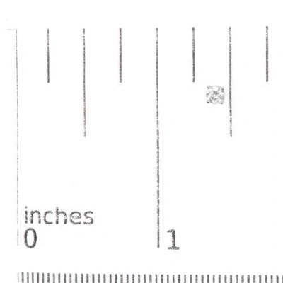 Haus Of Brilliance 14k White Gold 1.0 Cttw Lab Grown Diamond Solitaire Stud Earrings In Metallic