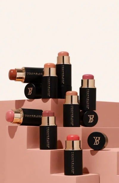 Youngblood Mineral Cosmetics Mini Vividluxe Crème Blush Stick In Pink