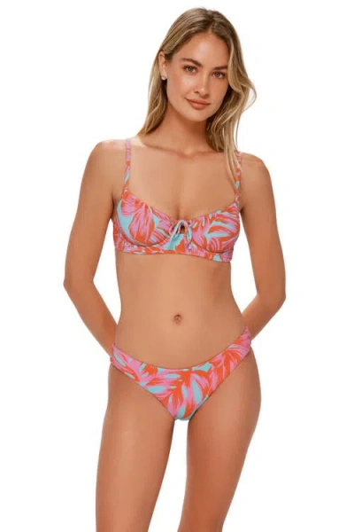 Swim Systems Chloe Bikini Swim Bottoms In Multi