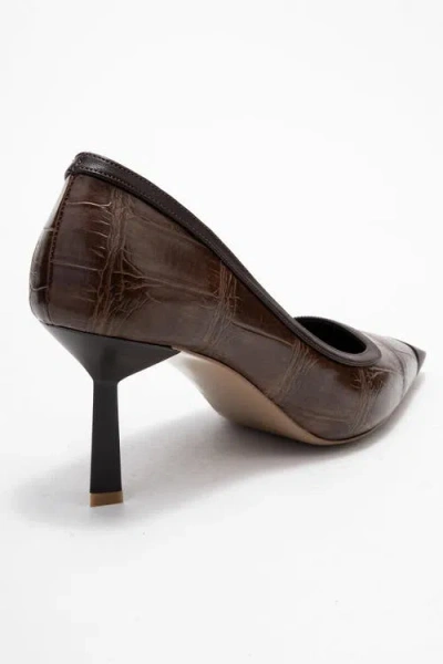 Prologue Shoes Rona Pointed Toe Pump In Multi