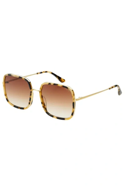 Freyrs Eyewear Cosmo Square Oversized Sunglasses In Gold
