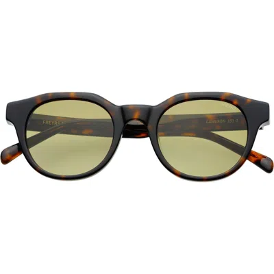 Freyrs Eyewear Cameron Round Sunglasses In Brown