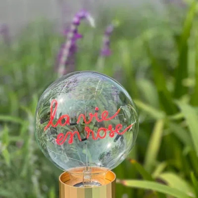 Mitb La Vie En Rose Portable Table Lamp In Pink