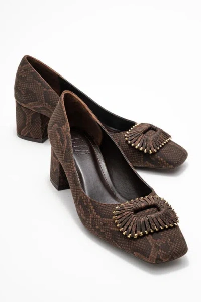 Prologue Shoes Velora Buckle Square Toe Block Heel Pump In Brown