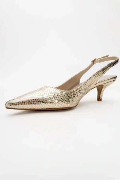 Prologue Shoes Value Pointed Toe Pump In Gold