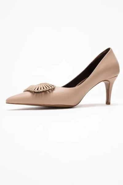 Prologue Shoes Great Buckle Pointed Toe Pump In Multi