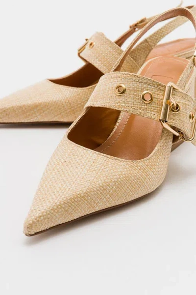 Prologue Shoes Nepido Pointed Toe Block Heel Pump In Multi