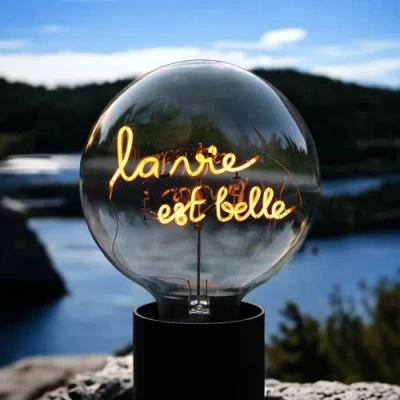 Mitb La Vie Est Belle Portable Table Lamp In Pink