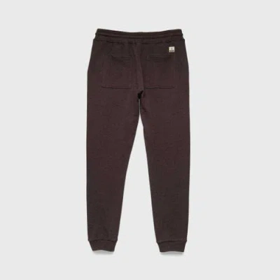 Surfside Supply Co. Dune Drawstring Terry Jogger