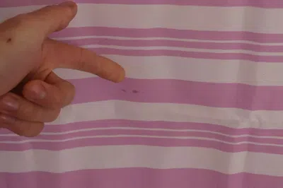 Pre-owned Dolce & Gabbana Pink White Striped Cotton Wrap Shawl Women's Scarf ()