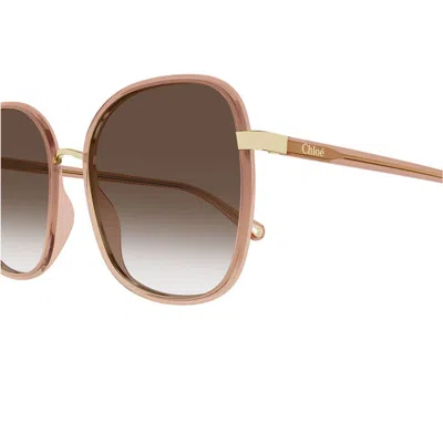 Chloé Box Logo Sunglasses In Brown