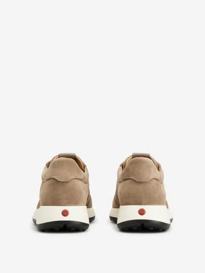 Tod's Suede Sneakers In Beige