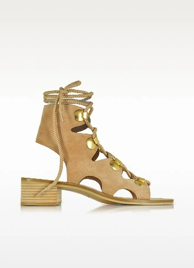See By Chloé See By Chloe Gladiator Lace Up Sandals In Nude/gold