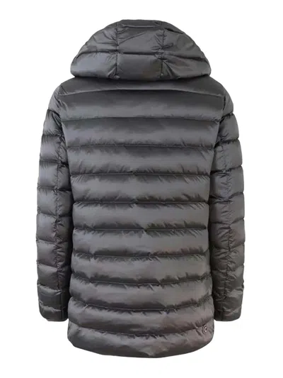 Colmar Originals Deluxe Hoodie In Gray