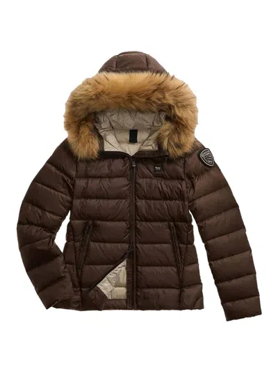 Blauer Arcadia Padded Feather In Brown