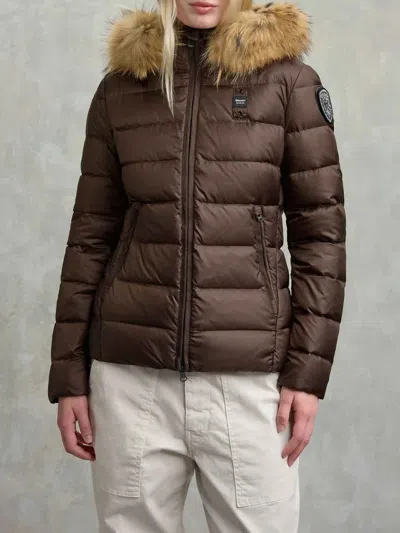 Blauer Arcadia Padded Feather In Brown