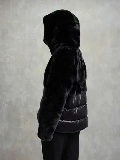 Blauer Fanevil Padded Wadding In Black