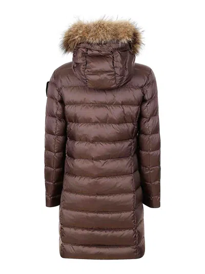 Blauer Coats In Brown