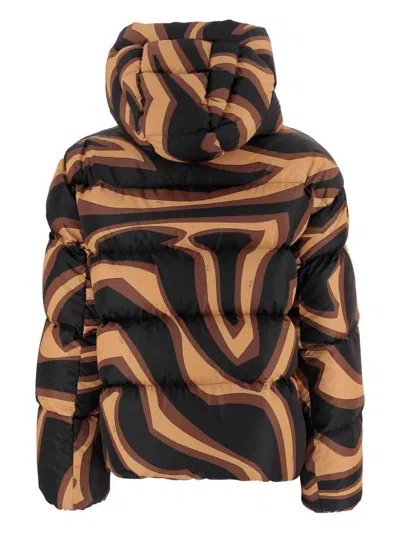 Pucci Printed Nylon Down Jacket In Brown