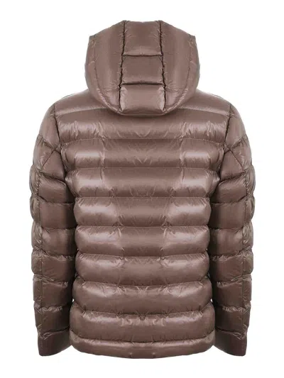 Blauer Quilted Ripstop Nylon Jacket In Brown