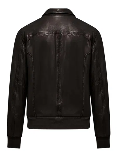 Bomboogie Leather Jacket In Brown