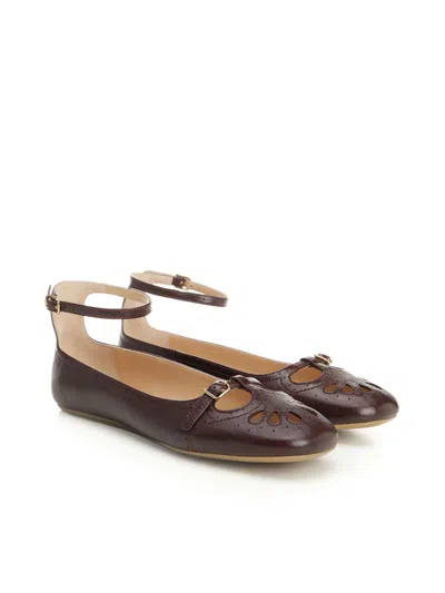 Chloé Ballerinas In Brown