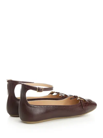 Chloé Ballerinas In Brown