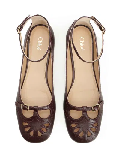 Chloé Ballerinas In Brown