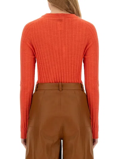 Alysi Ribbed Knit In Multi