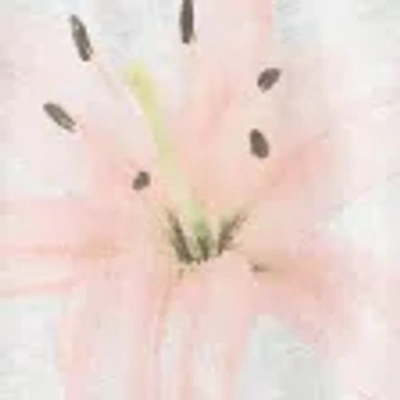 Hollister Easy Off-the-shoulder Tie T-shirt In White