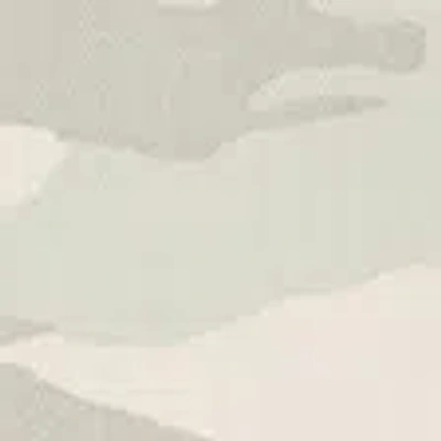 Hollister Curvy Low-rise Y2k Camo Baggy Jeans