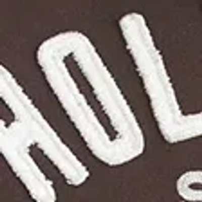 Hollister Holiday Vault Release Sherpa-lined Zip-up Logo Graphic Hoodie In Brown