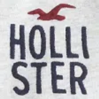 Hollister Logo Graphic Zip-up Hoodie In White
