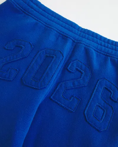 Hollister 2026 Graphic Baggy Sweatpants