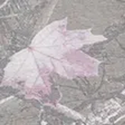 Hollister Taylor Reversible Tube Top In Gray