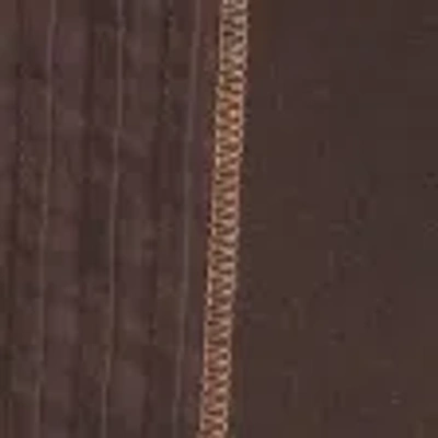 Hollister Long-sleeve Henley Babydoll Top In Brown